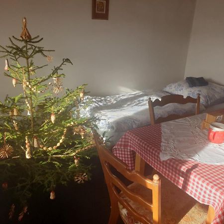 Apartman U Muzikanta Czeski Krumlow Zewnętrze zdjęcie