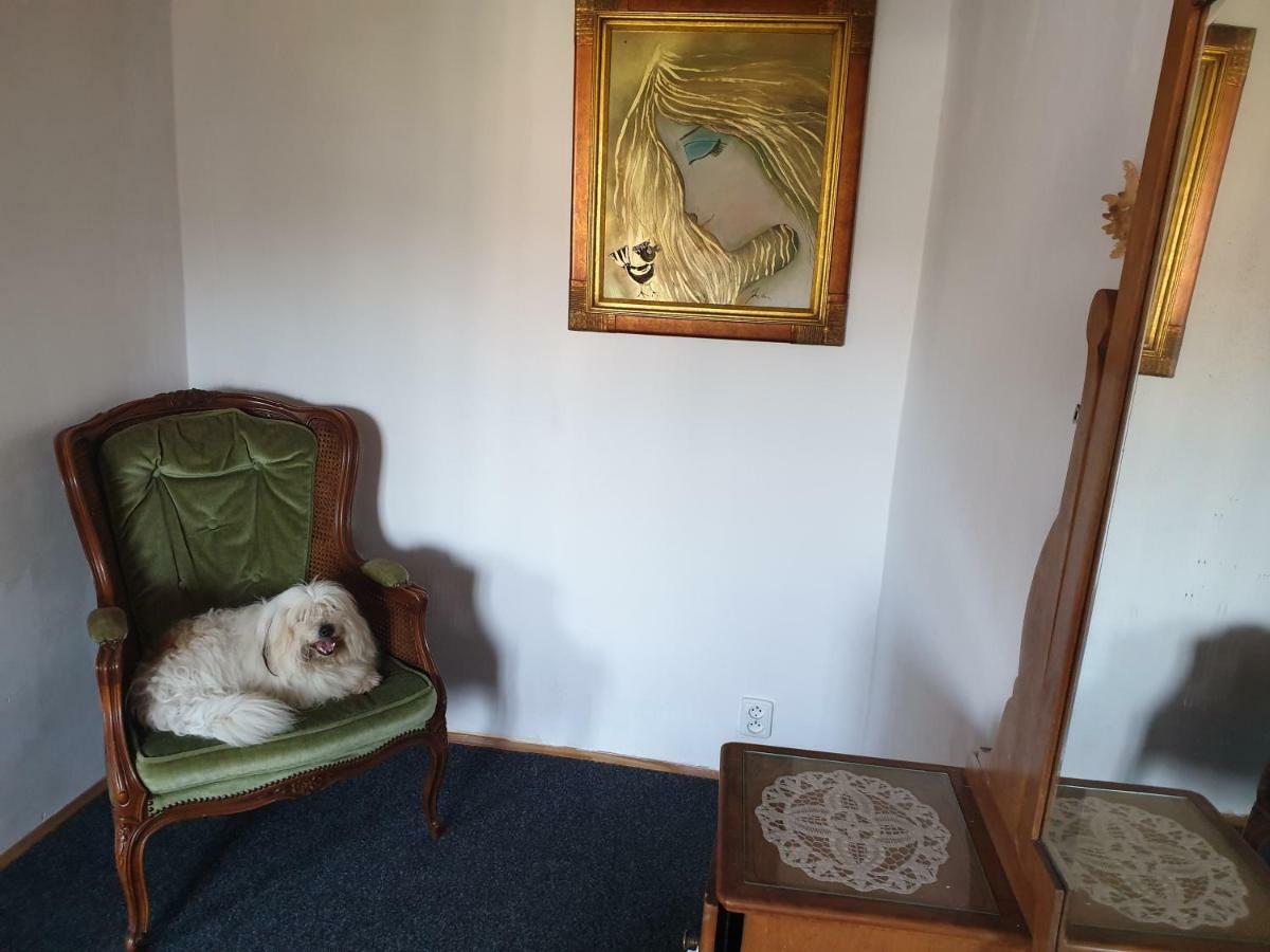 Apartman U Muzikanta Czeski Krumlow Zewnętrze zdjęcie