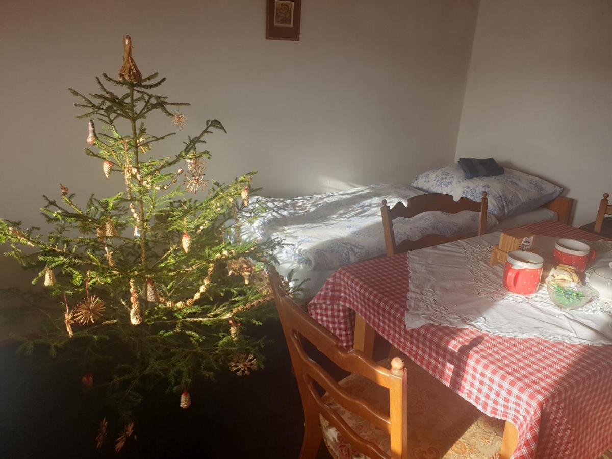 Apartman U Muzikanta Czeski Krumlow Zewnętrze zdjęcie