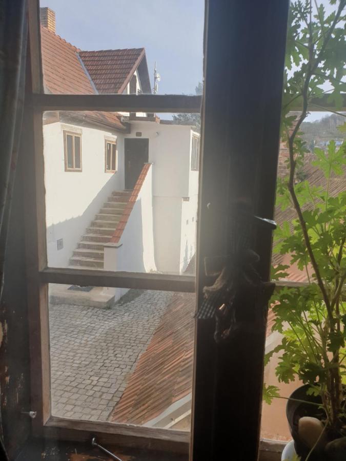 Apartman U Muzikanta Czeski Krumlow Zewnętrze zdjęcie