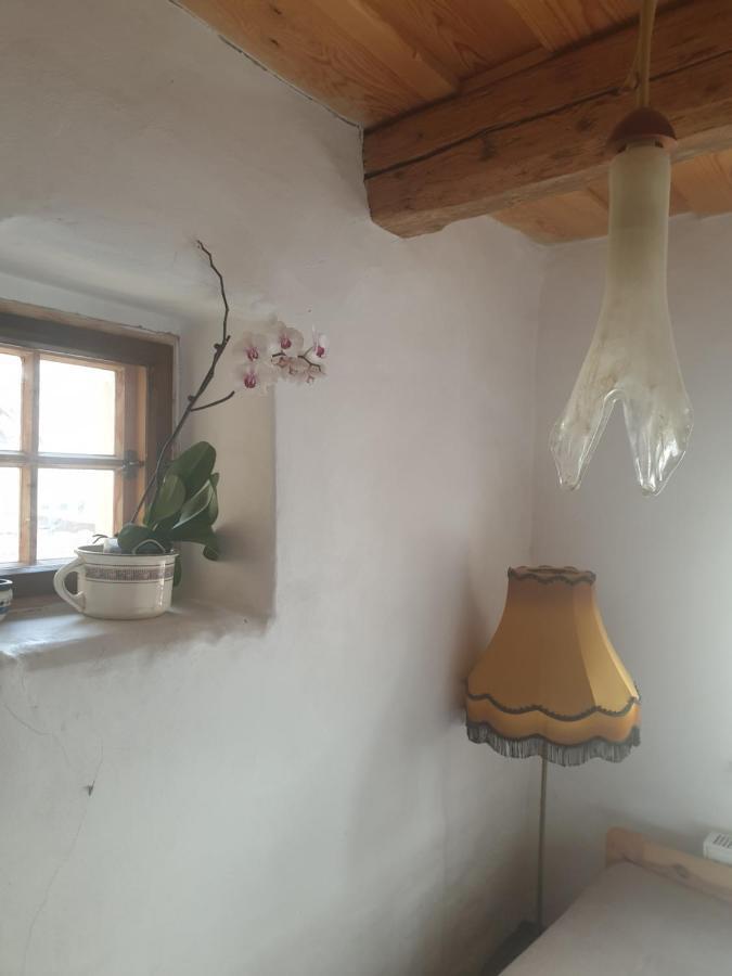 Apartman U Muzikanta Czeski Krumlow Zewnętrze zdjęcie